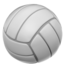 :volleyball: