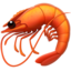 :shrimp:
